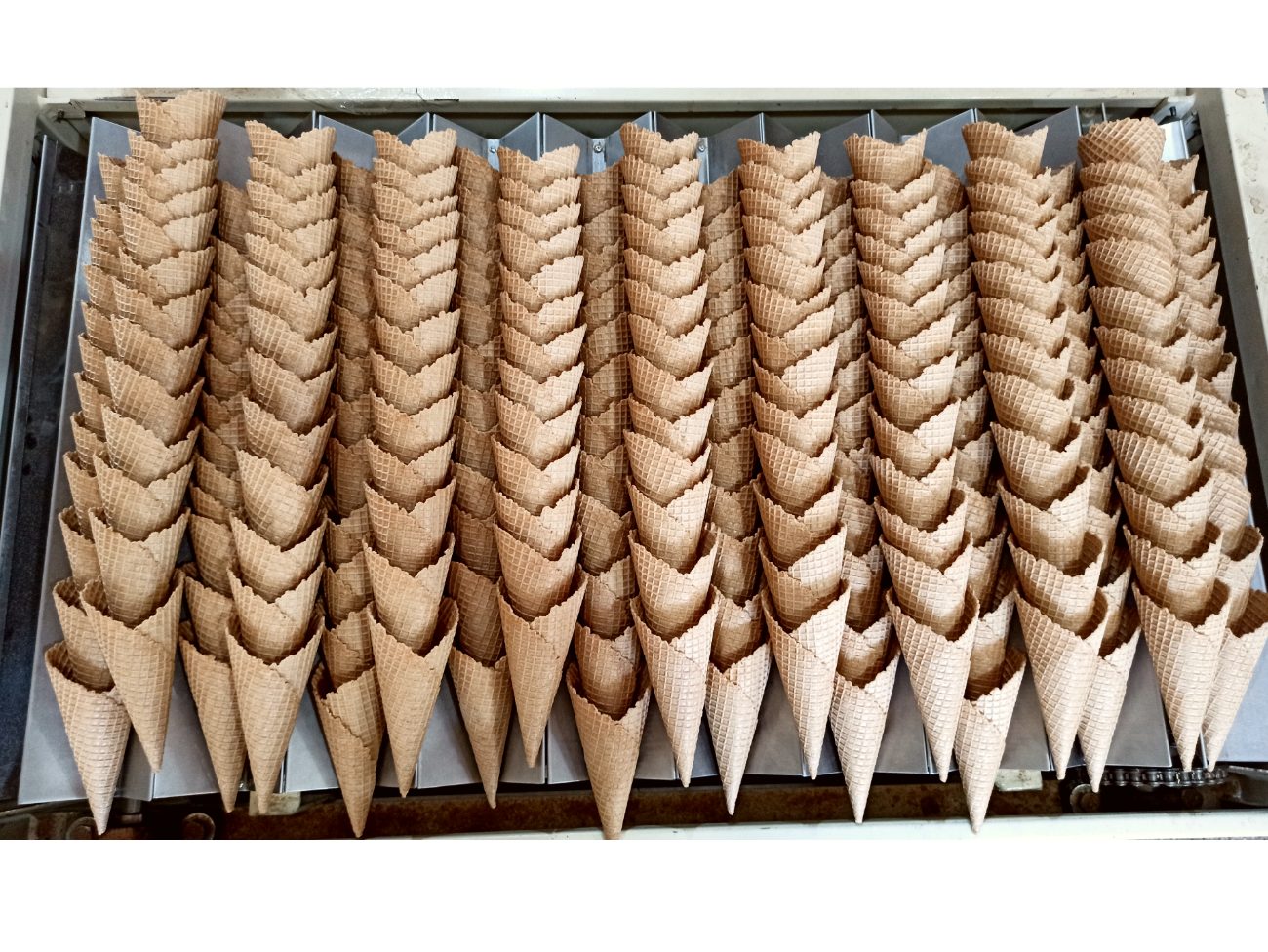 Barquillos y obleas recién salidos de la máquina en la fábrica Dolce Pasta